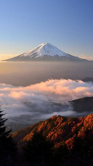 富士山 Iphone11 スマホ壁紙 待受画像ギャラリー