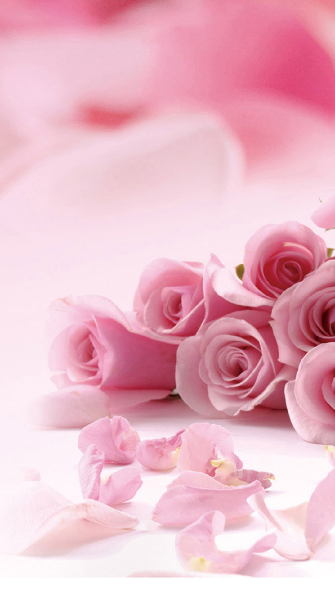 可愛いピンクのバラ Iphone12 スマホ壁紙 待受画像ギャラリー