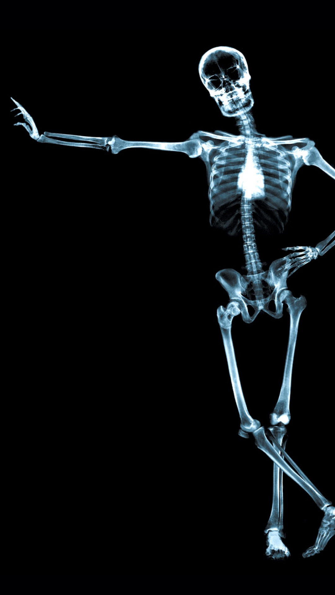 X Ray Skeleton S4 Wallpaper Iphone11 スマホ壁紙 待受画像ギャラリー