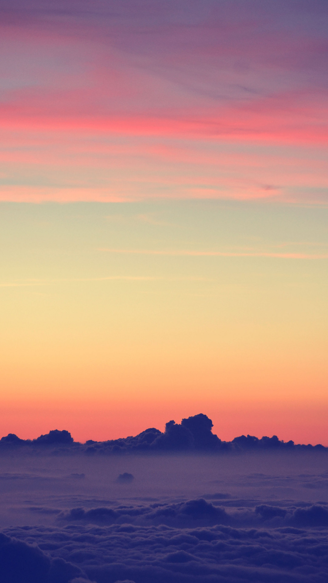 壁紙 夕焼け空 写真 ただ素晴らしい花