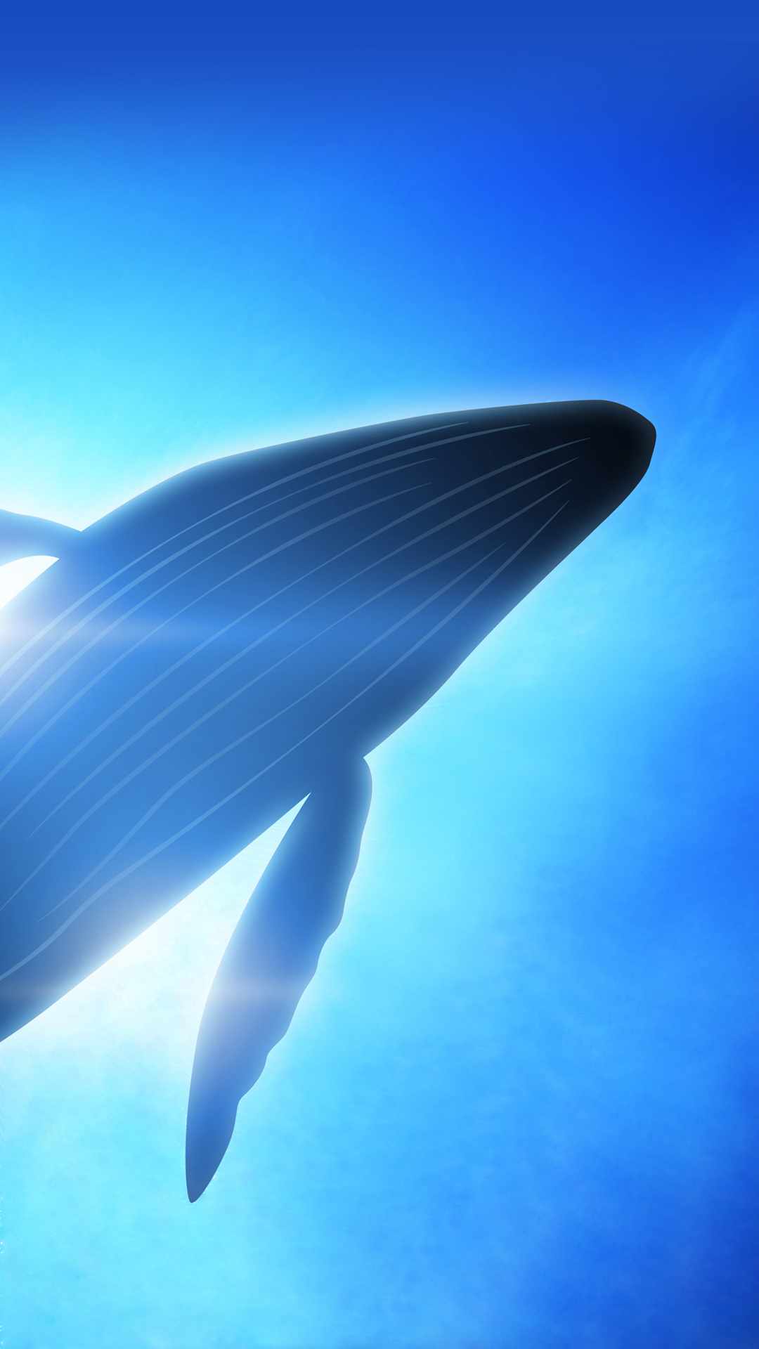 クジラ Iphone11 スマホ壁紙 待受画像ギャラリー