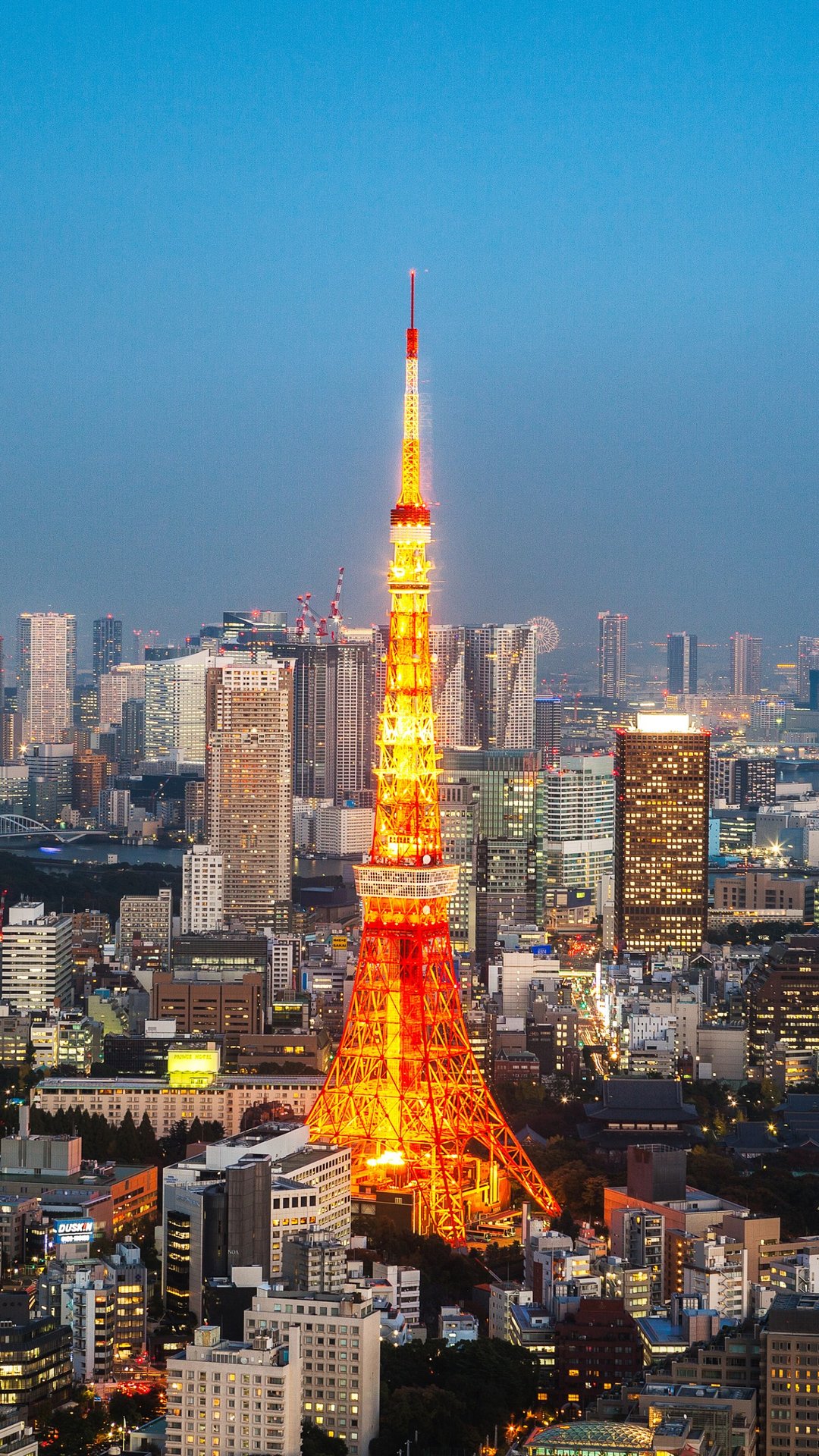 東京タワー Iphone11 スマホ壁紙 待受画像ギャラリー