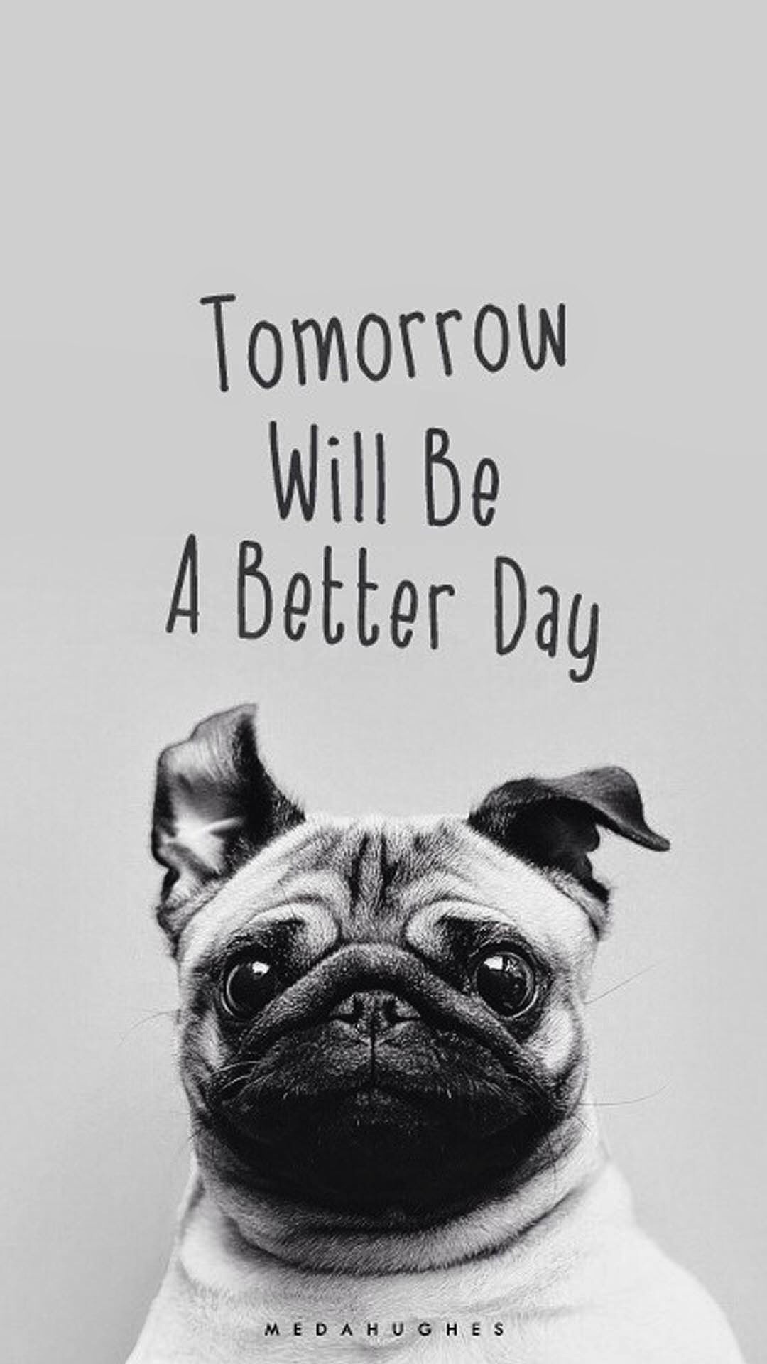 おしゃれ Tomorrow Will Be A Better Day 英文のiphone壁紙 Iphone11 スマホ壁紙 待受画像ギャラリー