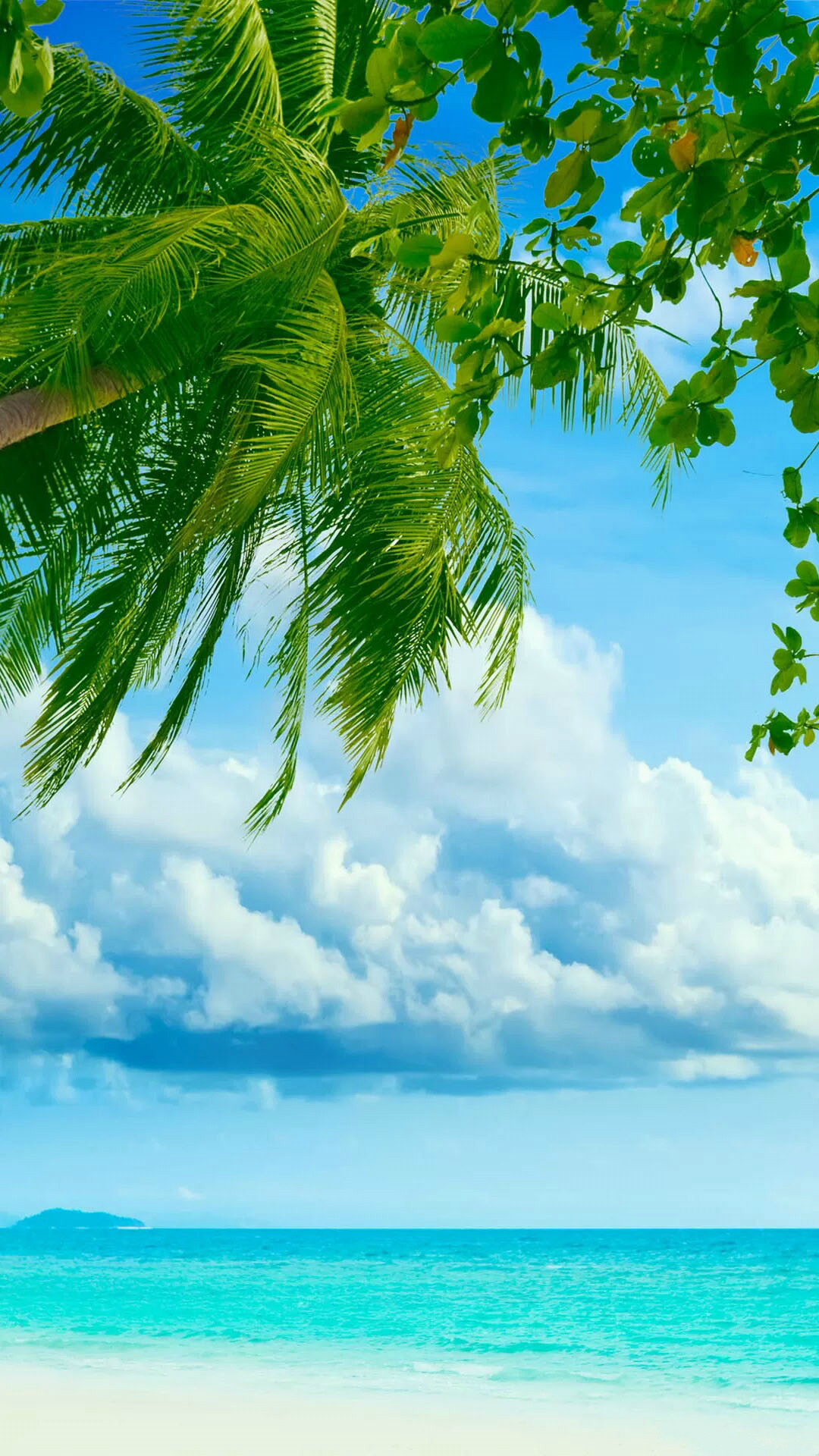 トロピカルなビーチとヤシの木 夏っぽいスマホ壁紙 Iphone12 スマホ壁紙 待受画像ギャラリー