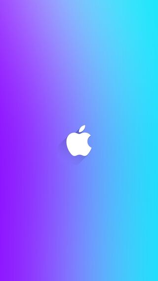 Apple - パープル／ブルー