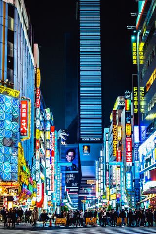 【222位】夜の新宿歌舞伎町