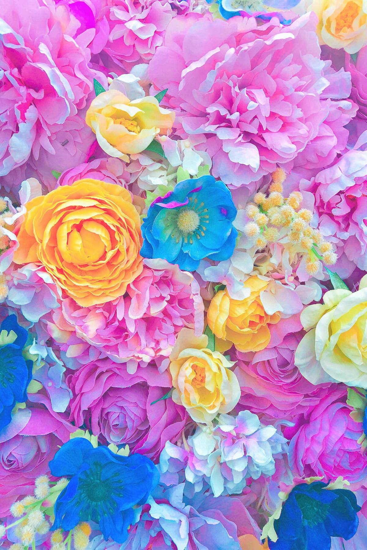 色とりどりの沢山の花 Iphone壁紙ギャラリー