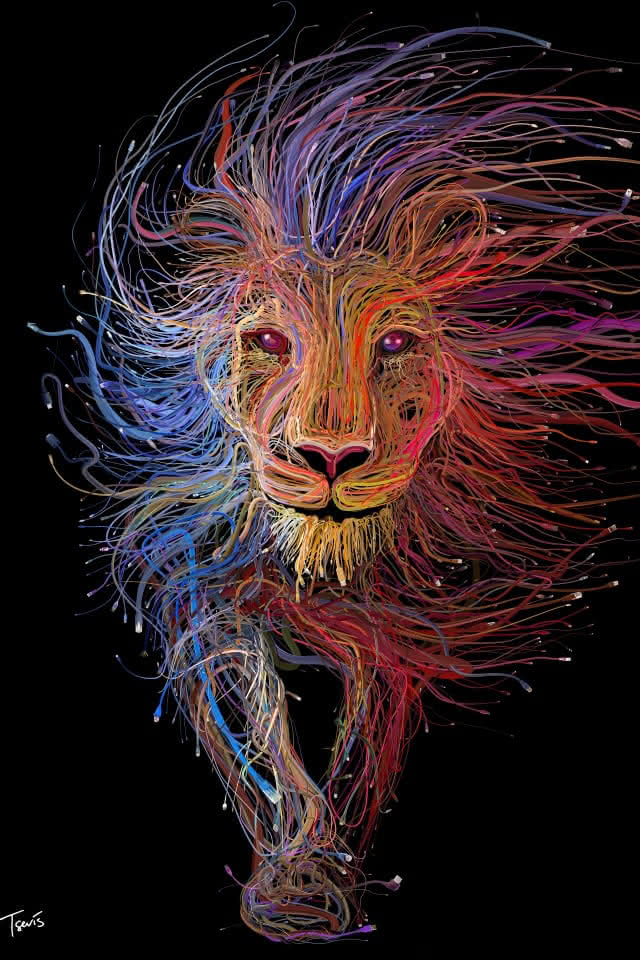 ライオン Iphone壁紙ギャラリー