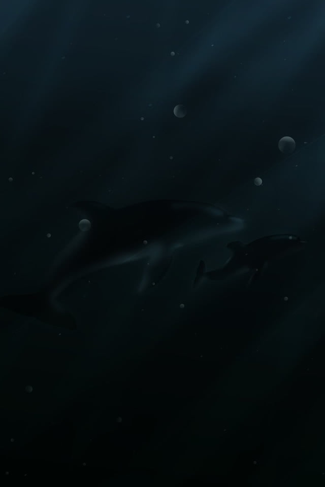 暗い海を泳ぐイルカ Iphone壁紙ギャラリー