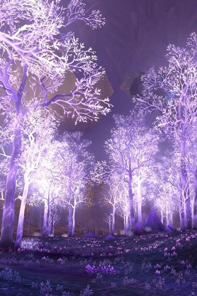 幻想的な冬の夜の森 Iphone壁紙ギャラリー