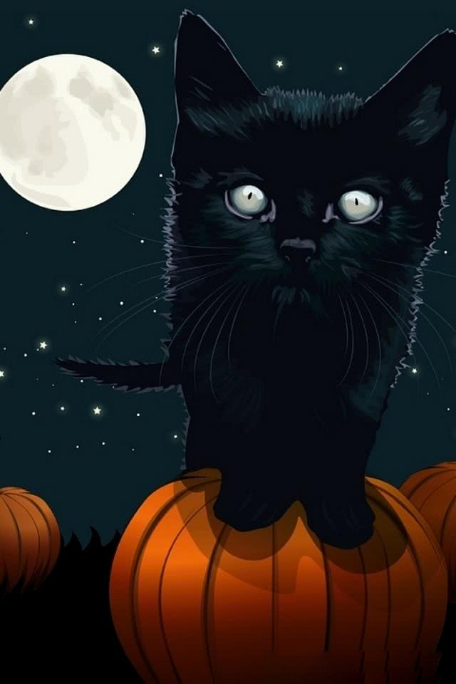 かぼちゃと黒猫 ハロウィン Iphone壁紙ギャラリー