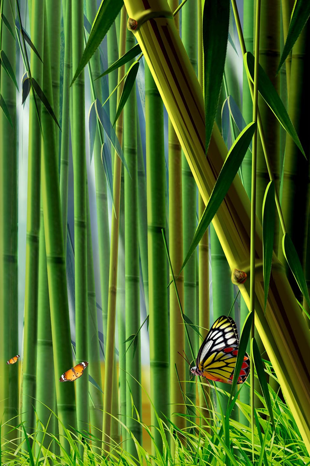 竹林に鮮やかな蝶 Iphone4壁紙 自然 640 960 地球マジやばい 壁紙 Iphone4向け 自然を愛する人におすすめな 壁紙まとめ Iphone壁紙ギャラリー