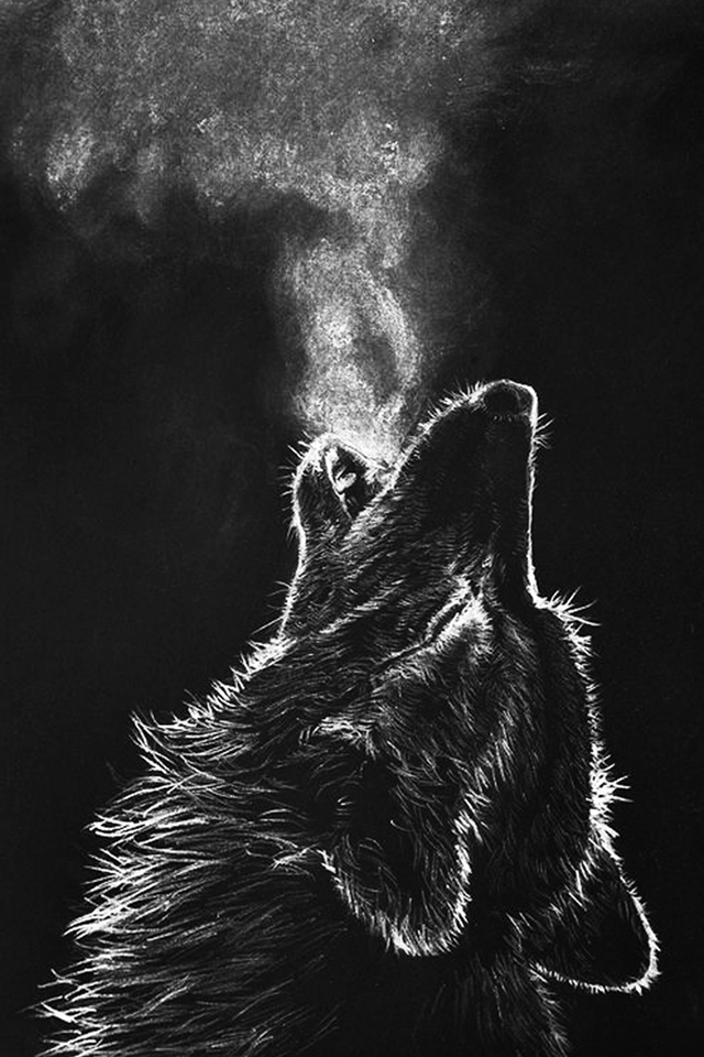 オオカミ 動物のiphone壁紙 Iphone壁紙ギャラリー