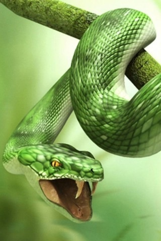 Green Snake Free Iphone Wallpaper Hd Iphone壁紙ギャラリー
