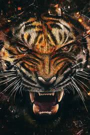 虎 | 動物のiPhone壁紙
