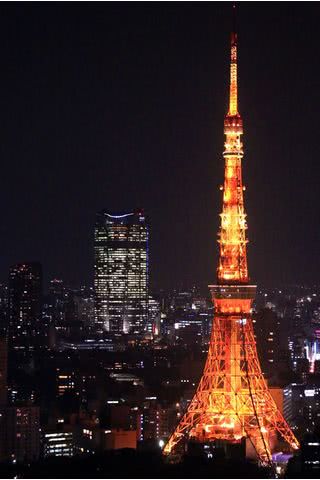 【272位】東京タワーの夜景