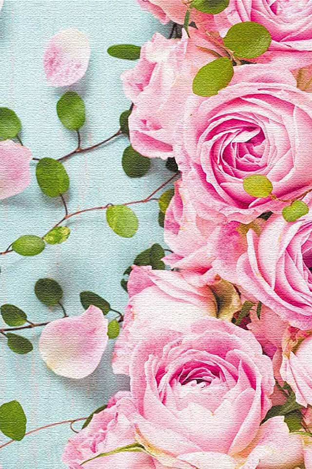 薔薇の花 Iphone壁紙ギャラリー