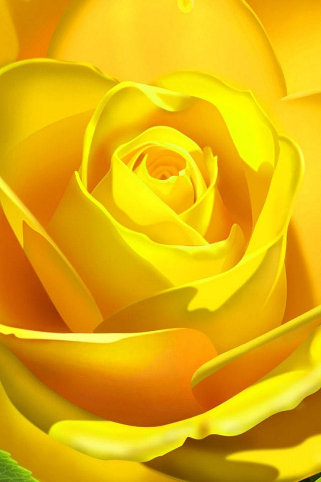 黄色いバラ Iphone壁紙ギャラリー