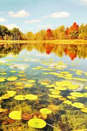 秋の湖