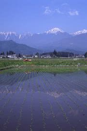 田園風景