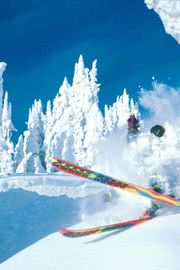 スキー 雪 スポーツの壁紙