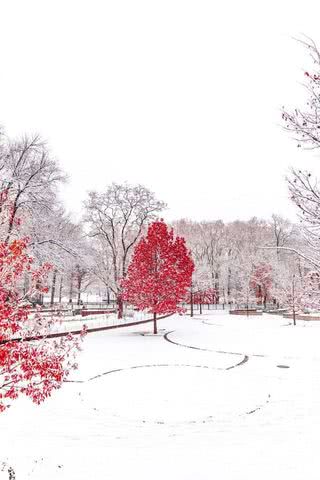 雪景色