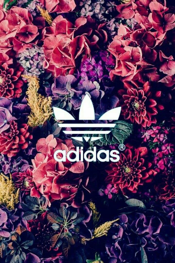 Adidas 花 Iphone壁紙ギャラリー