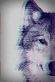 オオカミ（イラスト） | 動物のiPhone壁紙