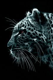3D Leopard | 動物のiPhone壁紙