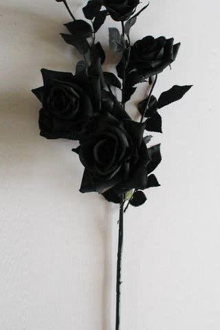 黒薔薇