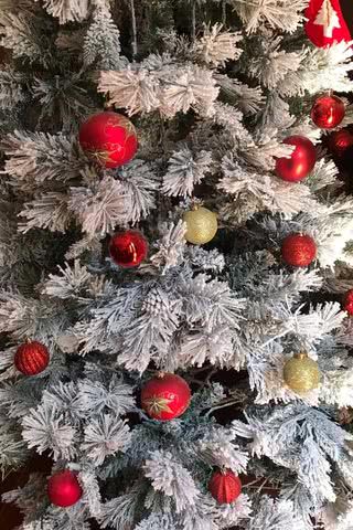 【新着1位】クリスマスツリー