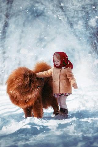 子供と犬