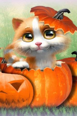 子猫のハロウィン