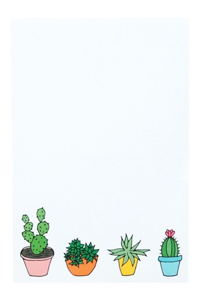 サボテンの鉢植え Iphone壁紙ギャラリー