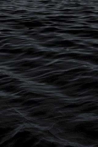 Dark Water