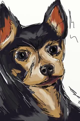 犬のイラスト