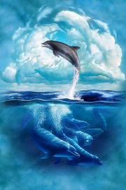 イルカの泳ぐ夕暮れの海 Iphone壁紙ギャラリー