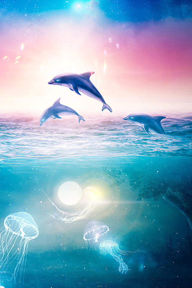 イルカの跳ねる海 Iphone壁紙ギャラリー