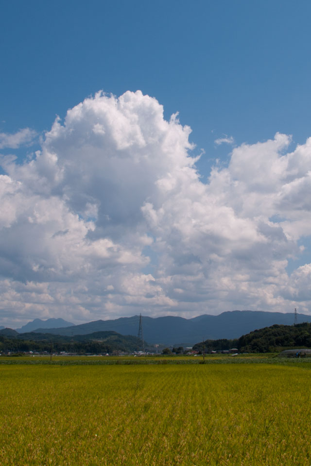 田園風景と入道雲 スマートフォン無料壁紙 640 960 Iphone向け Iphone壁紙ギャラリー