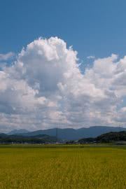 iPhone壁紙田園風景と入…