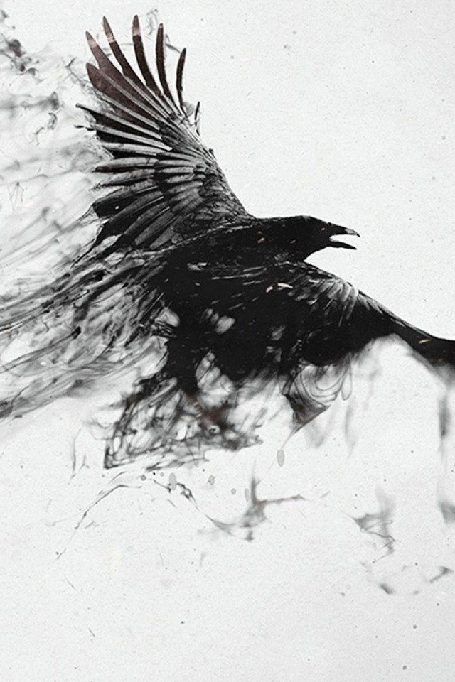 真っ黒な鳥 Iphone壁紙ギャラリー