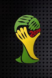 ワールドカップ 2014