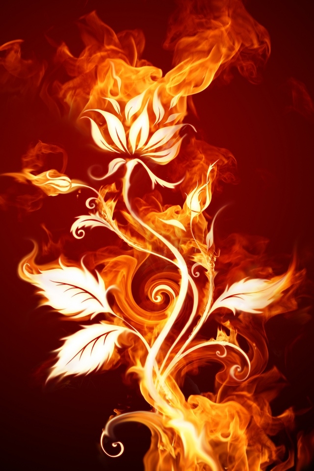 Free Download Fire Flower Iphone Hd Wallpaper Iphone壁紙ギャラリー