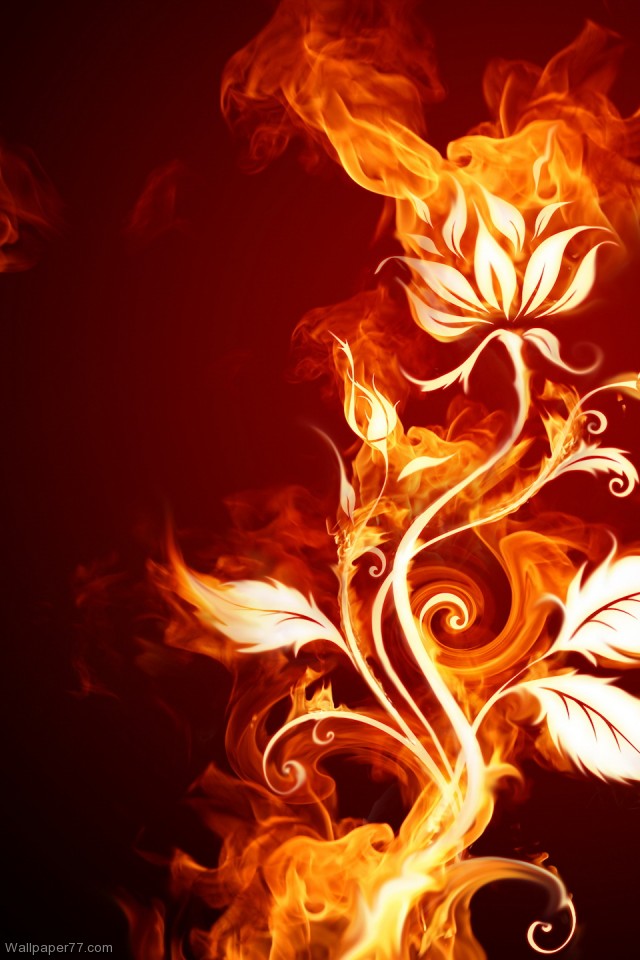 最新かっこいい スマホ 壁紙 炎 最高の花の画像