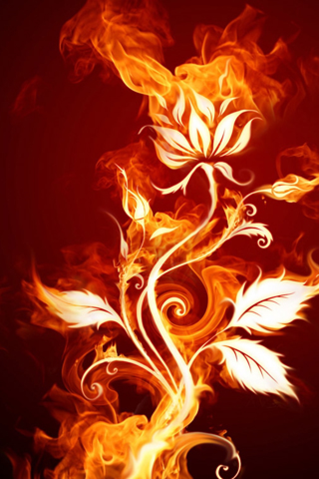 Fire Design Iphone Hd Wallpaper Gerber Baby Contest Iphone壁紙ギャラリー