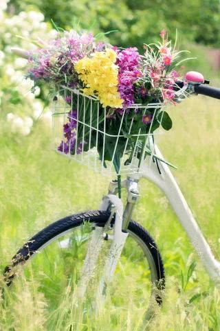 自転車のカゴに花