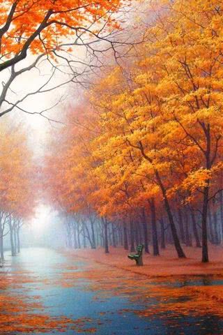 秋の森 Iphone壁紙ギャラリー