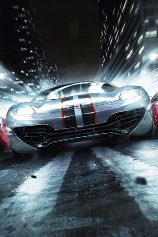 RACE DRIVER GRID 2