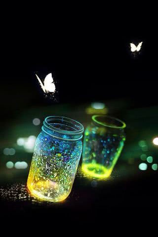 輝く小瓶と蝶
