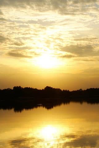 金色の夕焼け